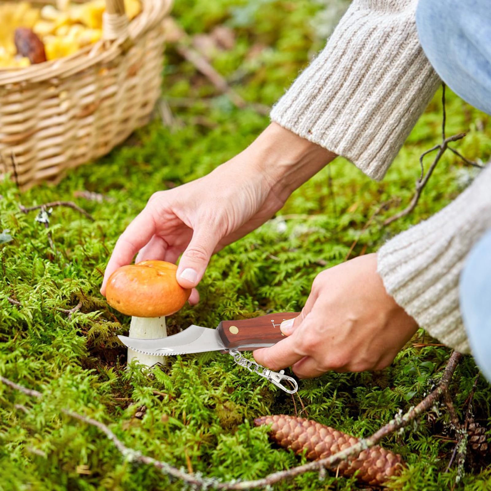 RANJIMA Coltello per Funghi, Coltello Funghi con Spazzola, Borsa da Caccia, Affilacoltelli, Pennello per Funghi, Coltello Pieghevole per Esterni con Manico in Legno, per la Raccolta dei Funghi