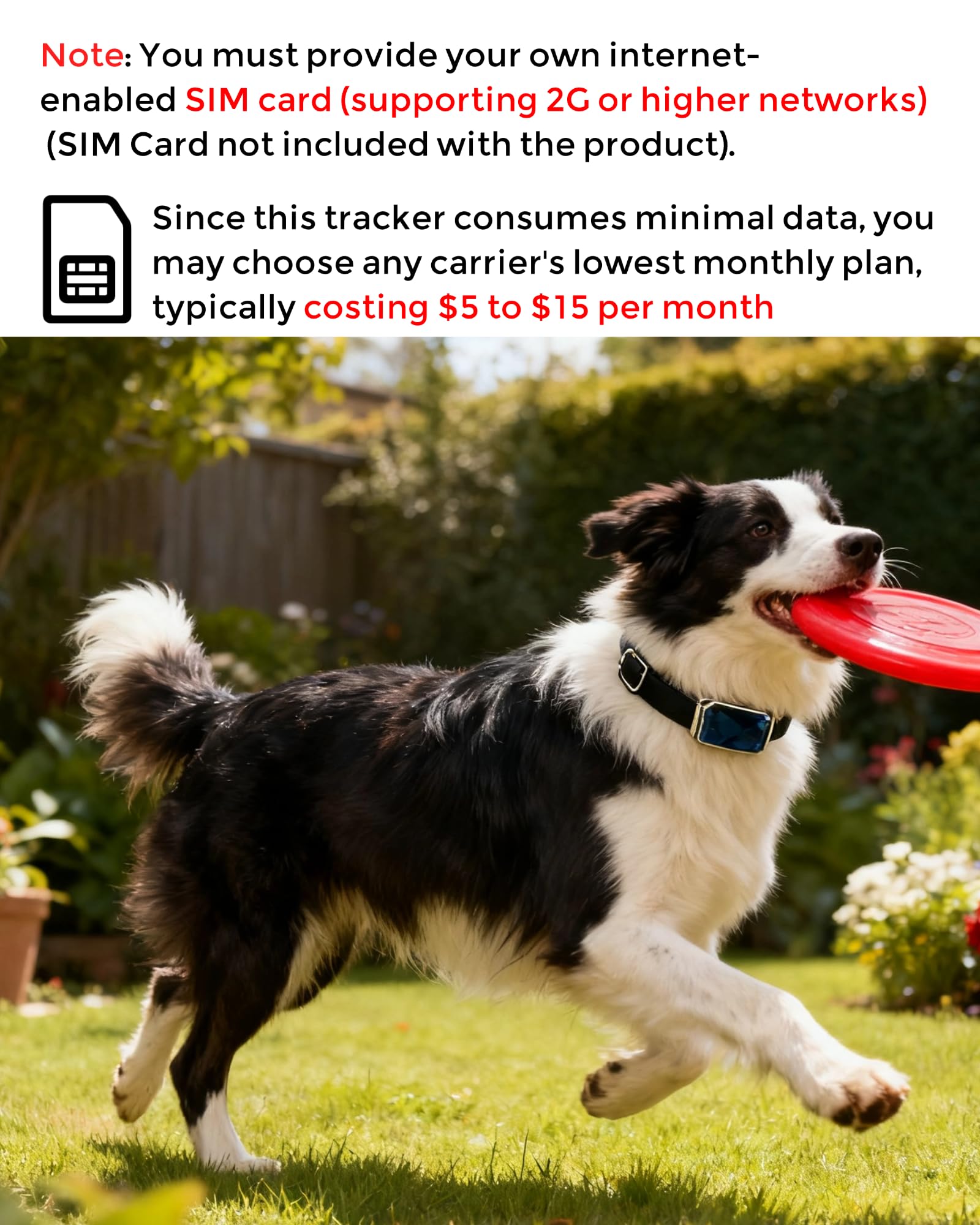 Smart GPS Hunde-Tracker, lebender Haustier-Tracker, virtueller Zaun, 10 Tage Akkulaufzeit, zugfestes Hundehalsband, IP67 wasserdicht, einfache Bedienung über proprietäre APP