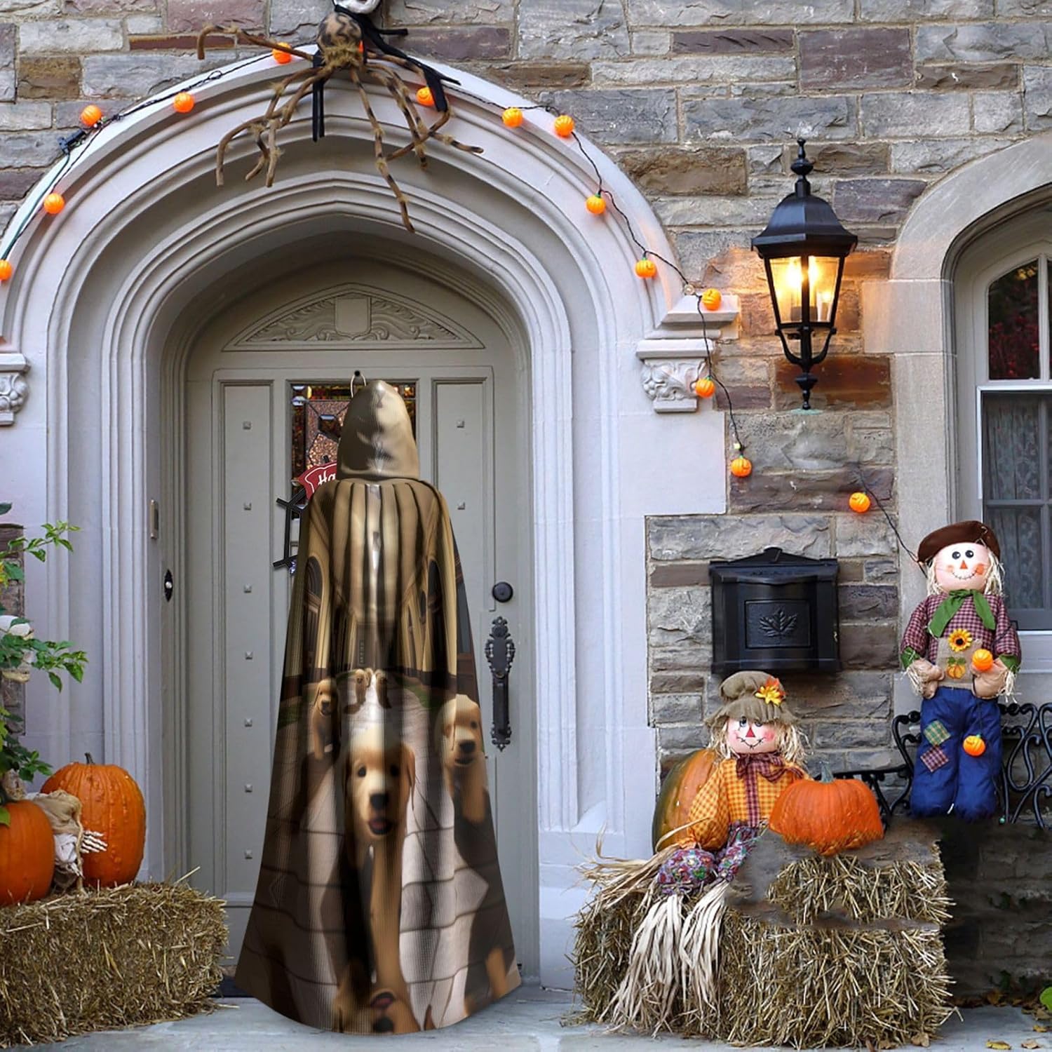 Infinite Corridor Puppy Unique Darkness Poncho Shawl - Customizable Wearable Blanket for Women, Perfect Halloween Costume Accessory, Knight, Akatsuki, and More