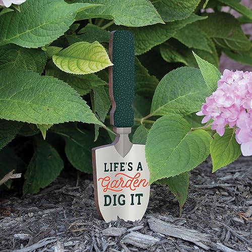 Miniatura 2 de P. Graham Dunn Life's Garden Dig It - Letrero de madera de pino (9.75 x 2.5 pulgadas), color gris