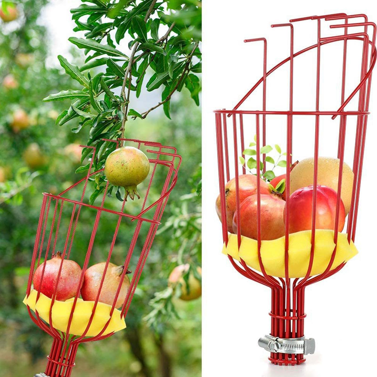 Fruit Picking Basket - Fruit Pickerr Pole with Basket | Stainless Steel Telescopic Fruits Pickers with Baskett, Portable, Rostfrei, Detachable Lightweight Food Picker for Plum, Pear, Lemon