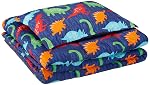 AmazonBasics Kid’s Comforter Set – Soft, Easy-Wash Microfiber – Twin, Multi-Color Dinosaurs