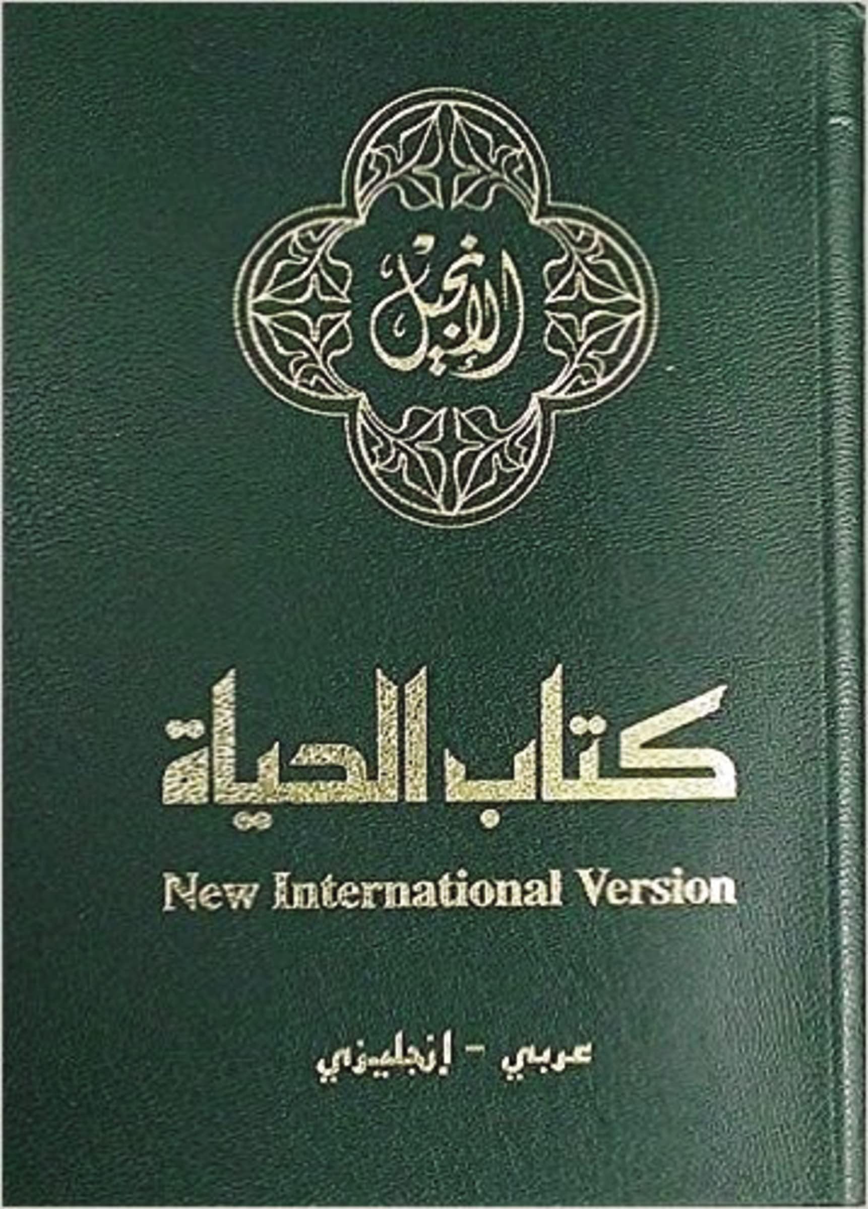 Holy Bible: New American Version / New International Version, Green, Leather-look, New Testament Paperback – 30 Aug. 2016