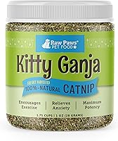 Raw Paws Fresh Catnip for Cats 1oz - Natural Dried Nepeta Cataria for Toys, Play & Stress Relief