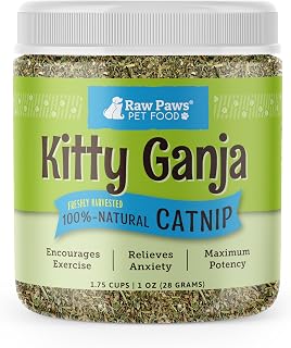 Raw Paws Fresh Catnip for Cats 1oz - Natural Dried Nepeta Cataria for Toys, Play & Stress Relief