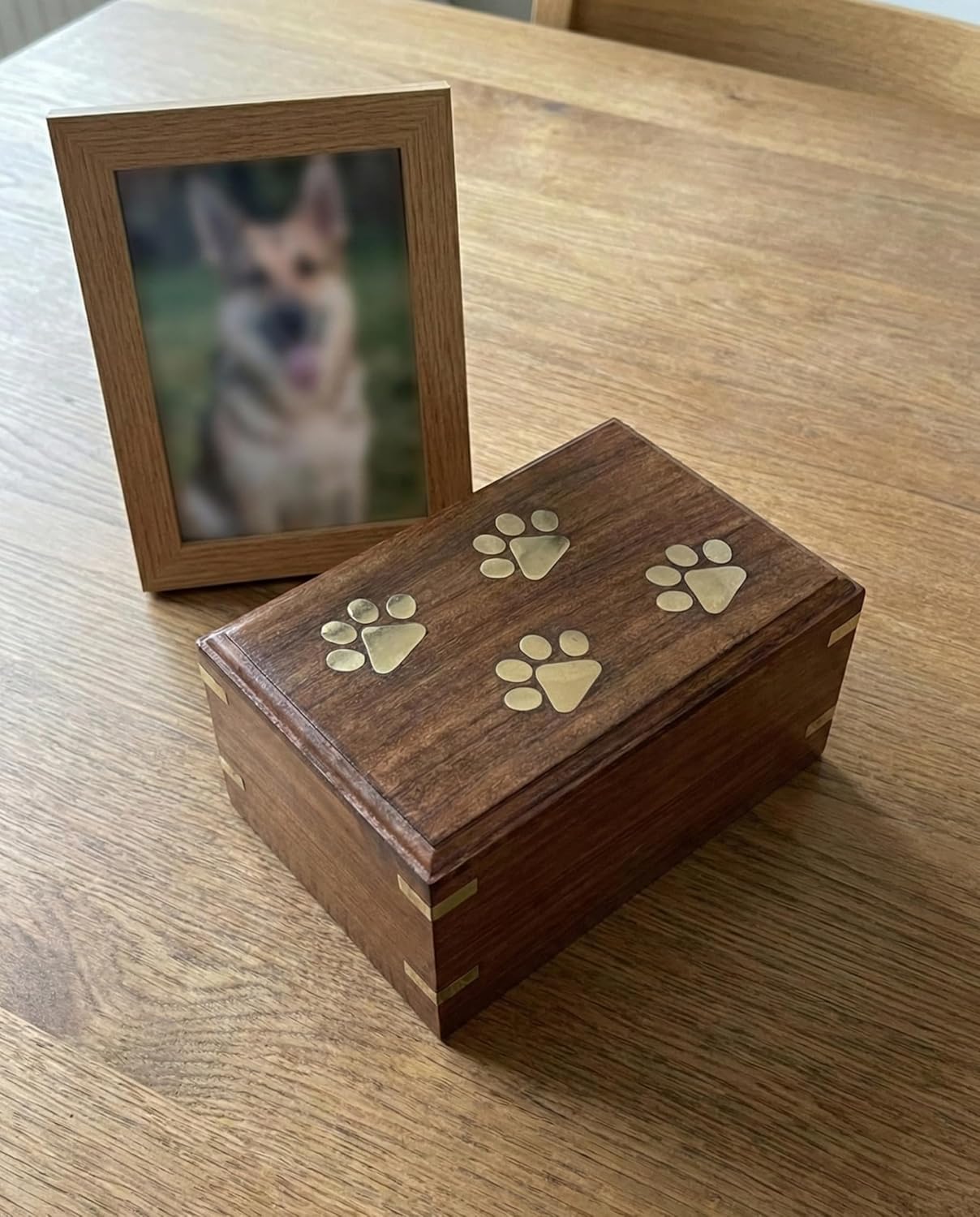 Cremation Urns for Pet Ashes - Wooden Box and Casket for Cats,Dogs Ashes - Funeral Memorial Burial Urn for Cat Dog Pet Ashes (Standard, Small (45 Cu/in), Brass PAW)