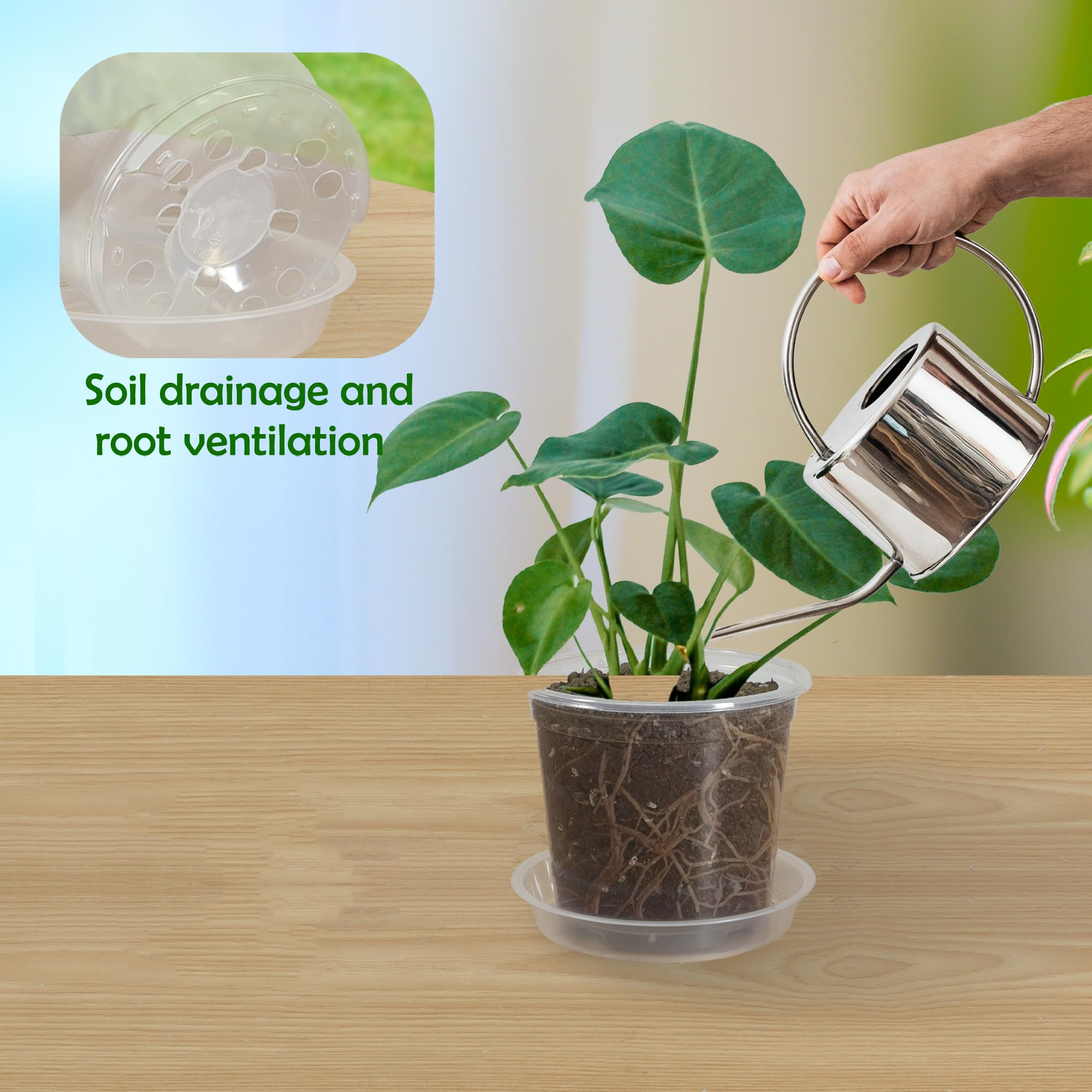 Lot de 20 pots de fleurs transparents de 10,2 cm avec drainage pour plantes, pots de rempotage transparents pour semis, pot de démarrage (transparent, 10,2 cm, 20 pièces)