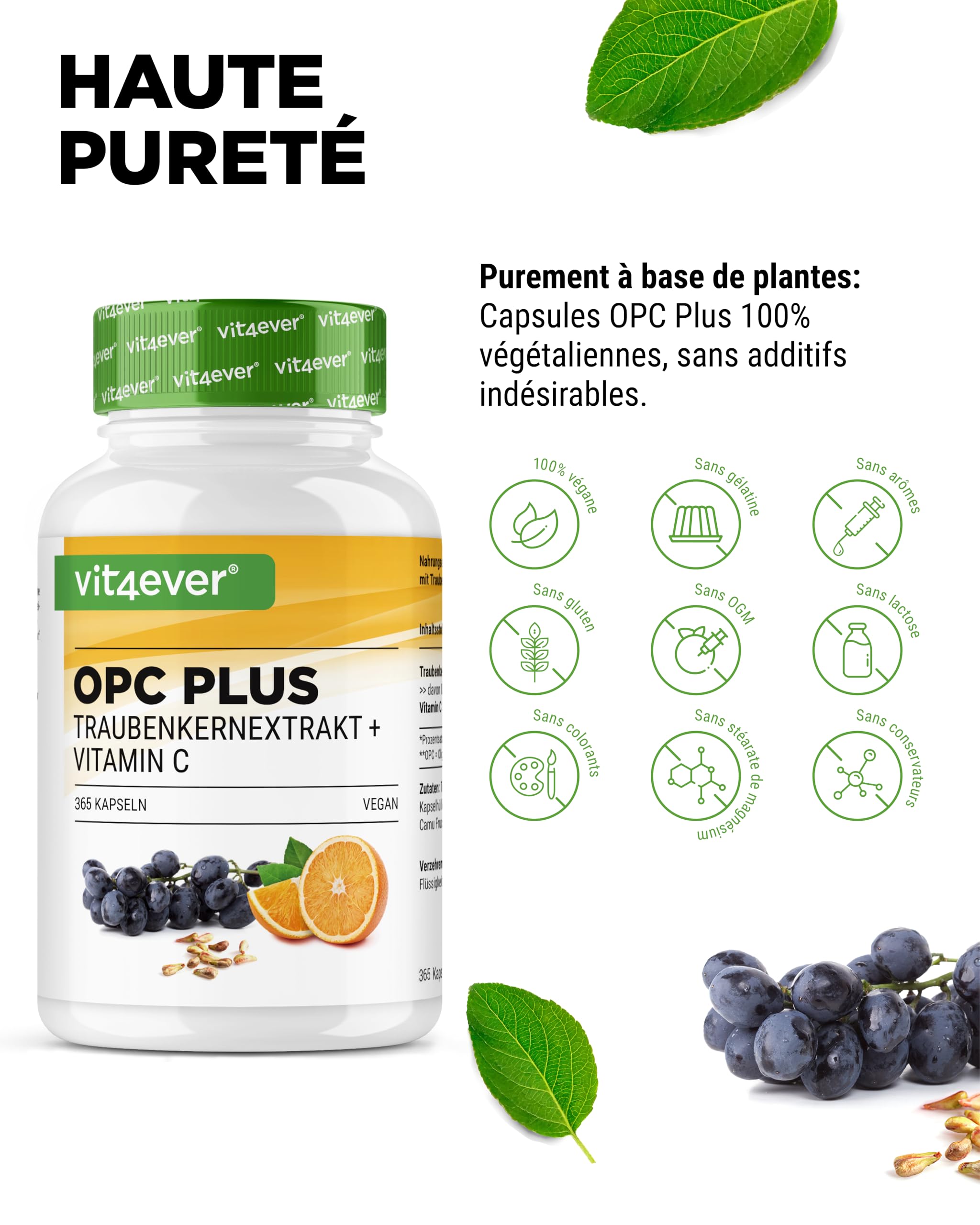 Extrait de Pépins de Raisin OPC + Vitamine C Naturelle - 365 capsules pour 12 Mois - Teneur en OPC la Plus Élevée selon HPLC - De Raisin - Vegan