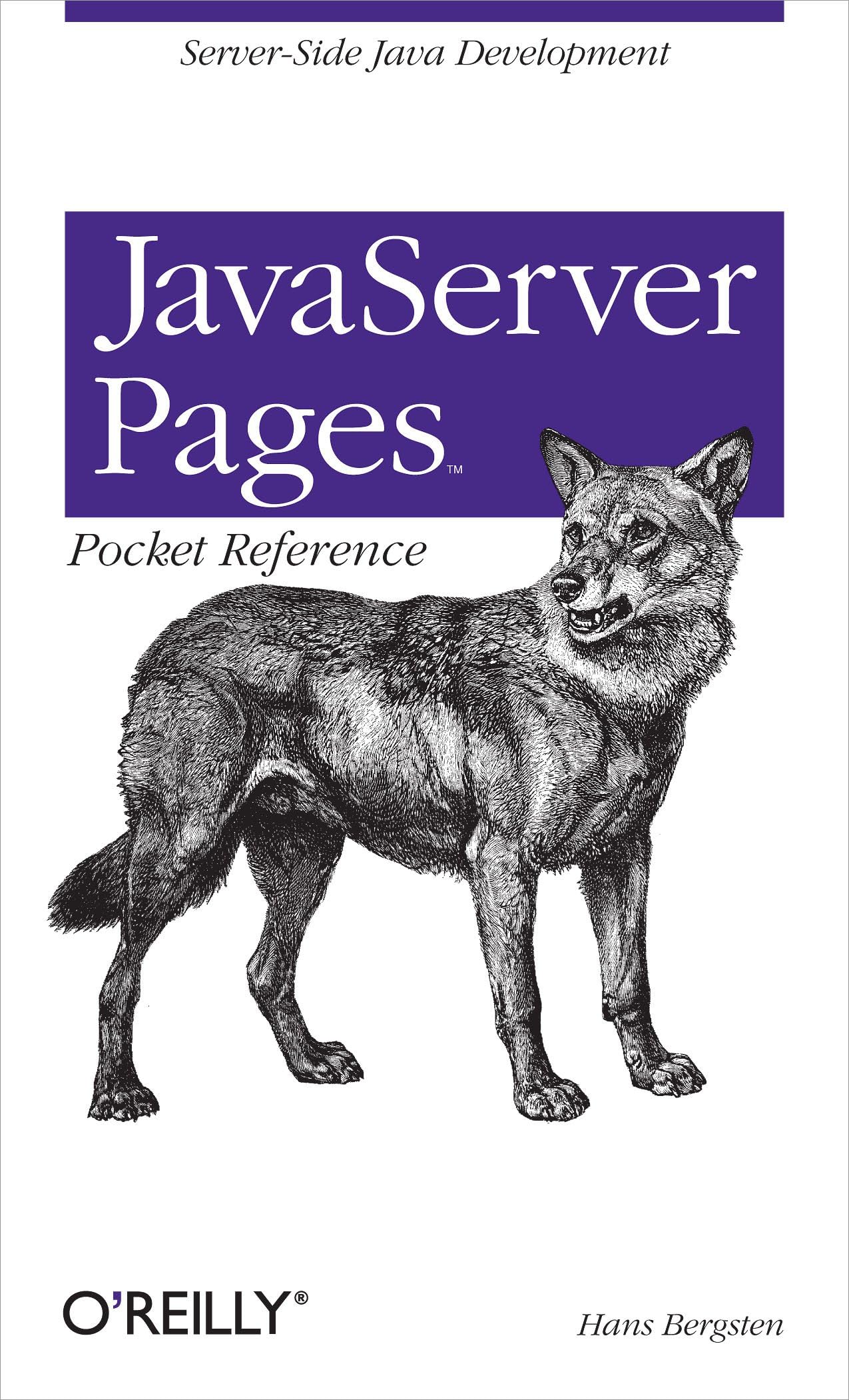 JavaServer Pages Pocket Reference: Server-Side Java Development