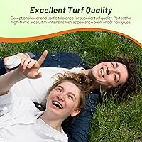 Vista 5 de Outsidepride Semilla de césped de festuca fina dura – 5 libras de bajo crecimiento, tolerante a la sequía y a la sombra, semilla recubierta