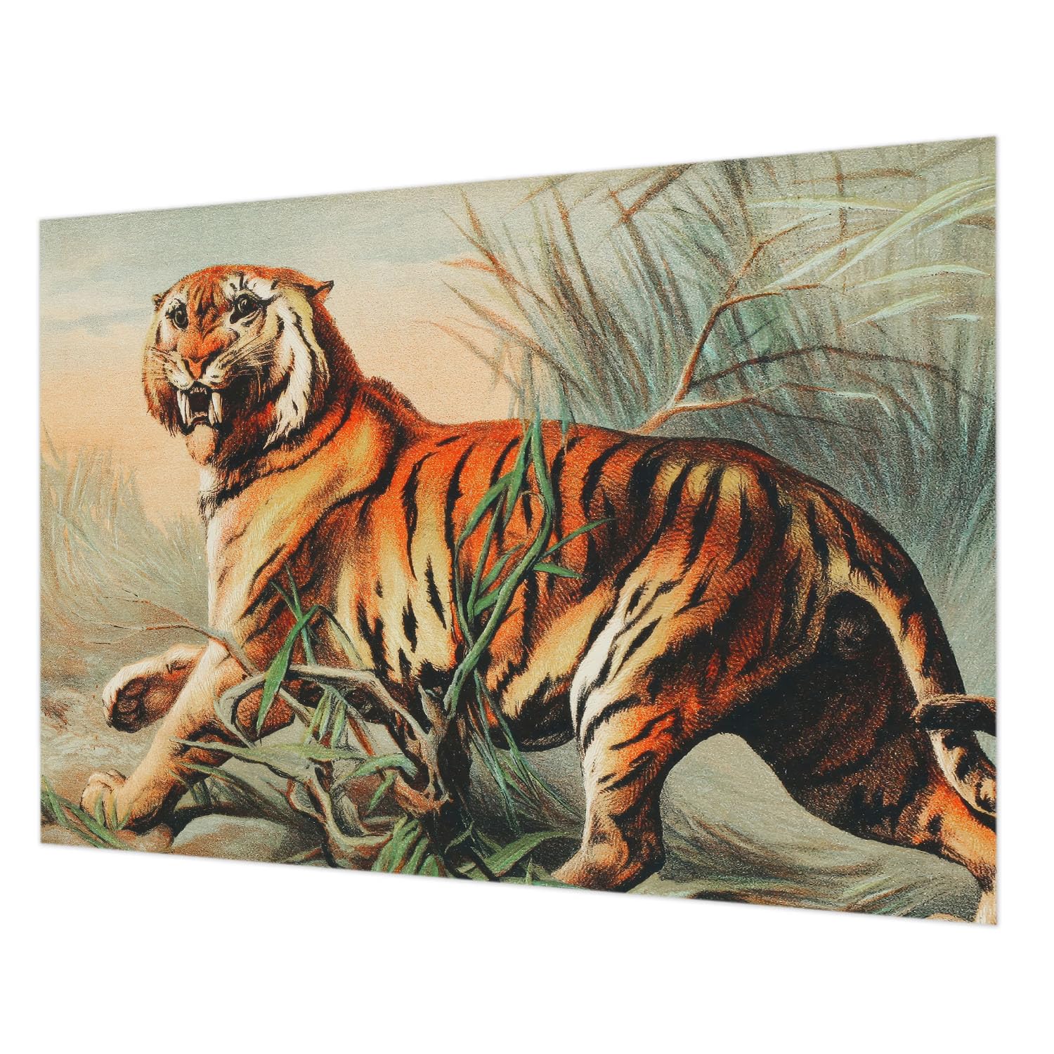 Papier peint décoratif tigre 312x219 cm pose facile pour chambre et salon