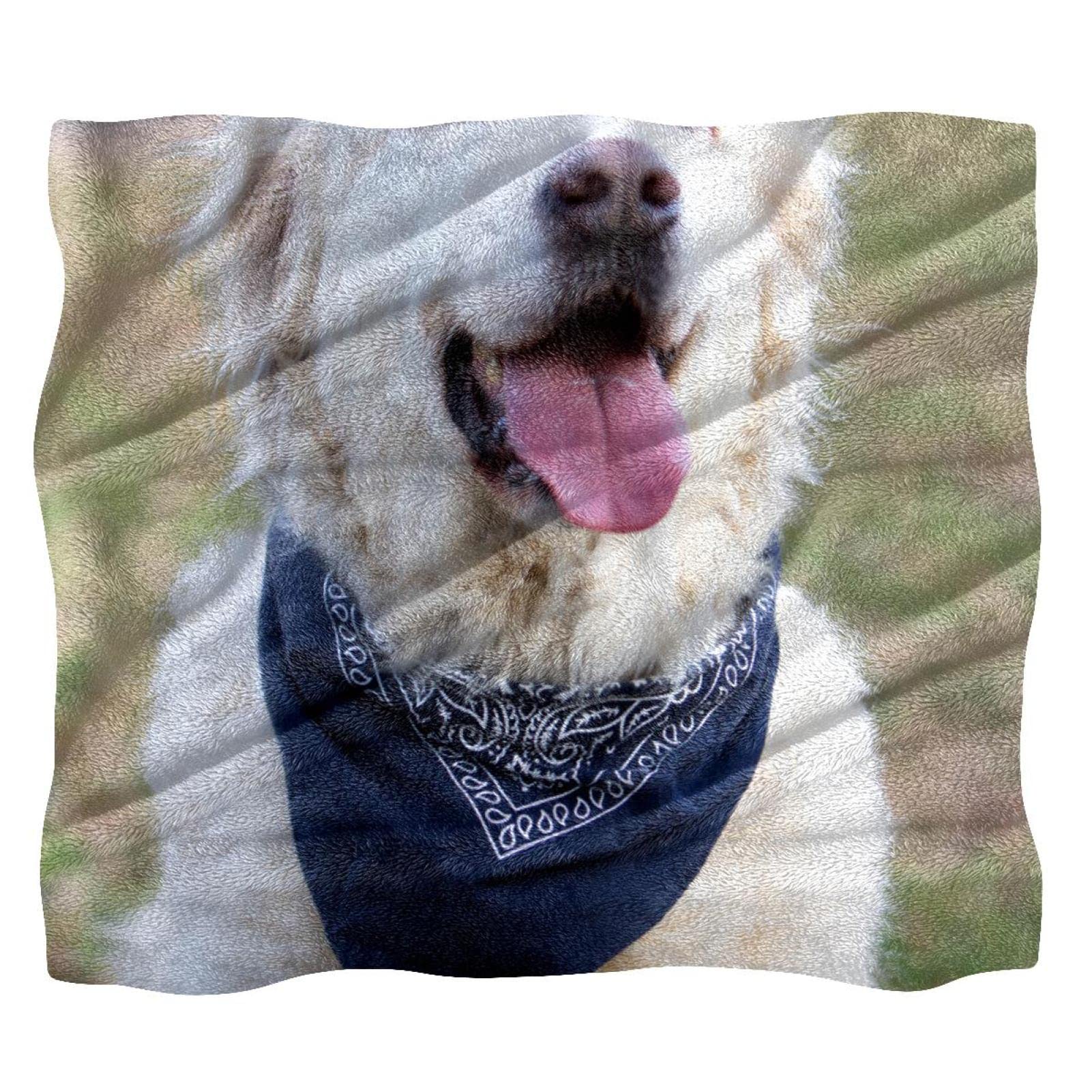 TBOUOBT Couverture Polaire de literie, décorative pour Le Sol du canapé de la Chambre,Golden Retriever Animal Chien Pet