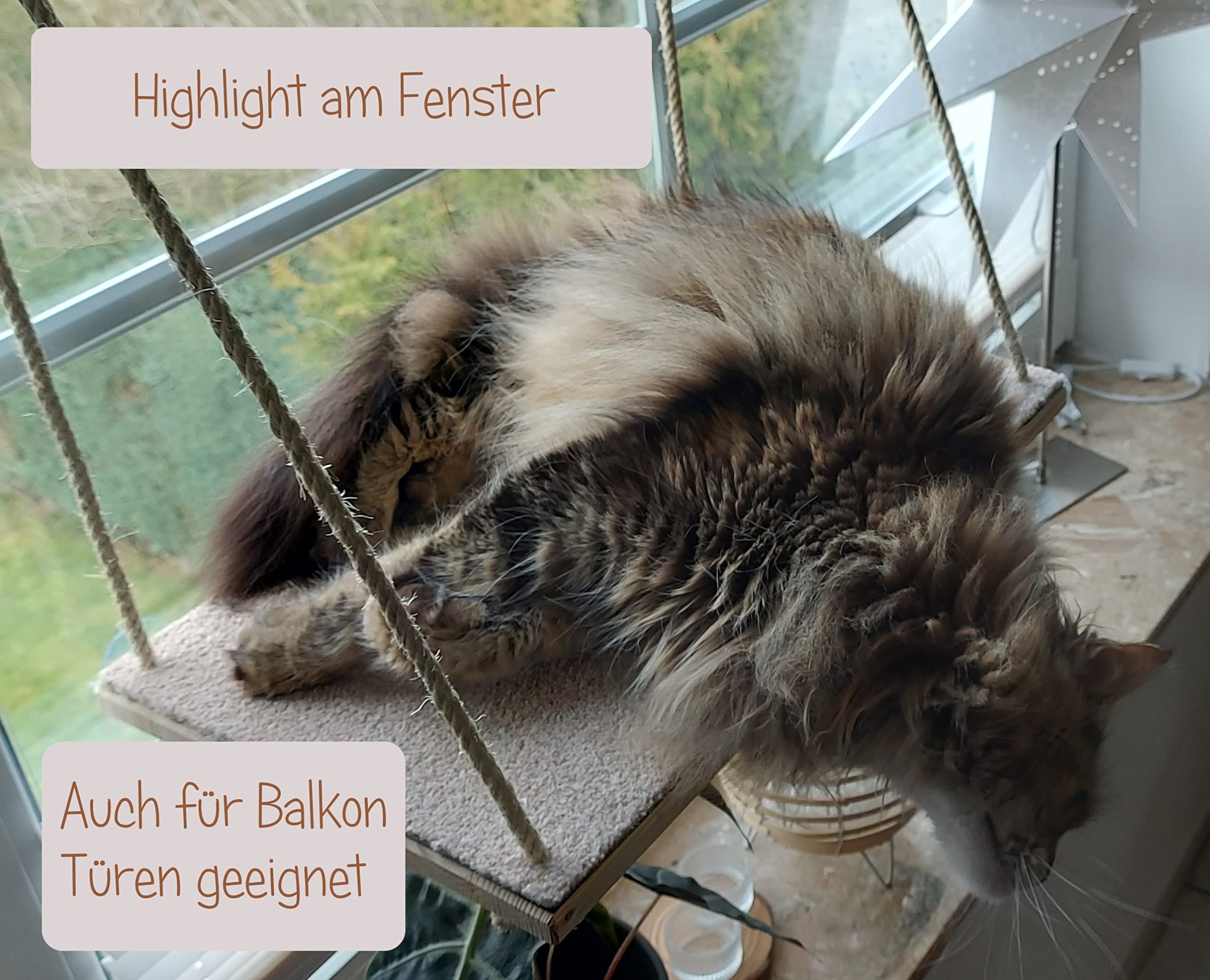 CapriCorner Katzen Fensterliege, kein Herunterfallen Dank Sisalseile, Holz statt Plastik - Neuer Fensterplatz (Grau)