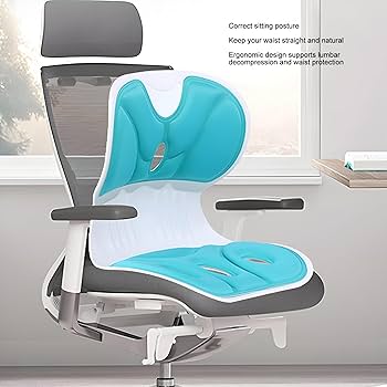 Frido Ultimate Sitting Posture Corrector Seat Cushion Waist Support Cushion Sitting Posture Correction Chair Waist Back Support  For Floor Seat Office Shopee Malaysia