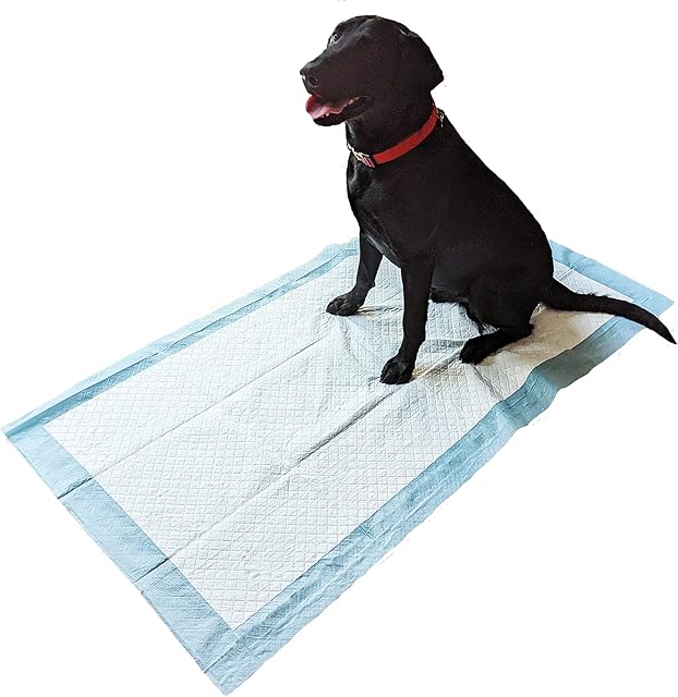 Speedwellstar 20 EXTRA Large 1500 x 800 mm Dog Toilet Training 2300 ml Wee Pads Puppy Pet Disposable Unscented Super Sized Absorbent Mat Cover C&C 2x4 Fleece Cage Liner Thick Incontinence