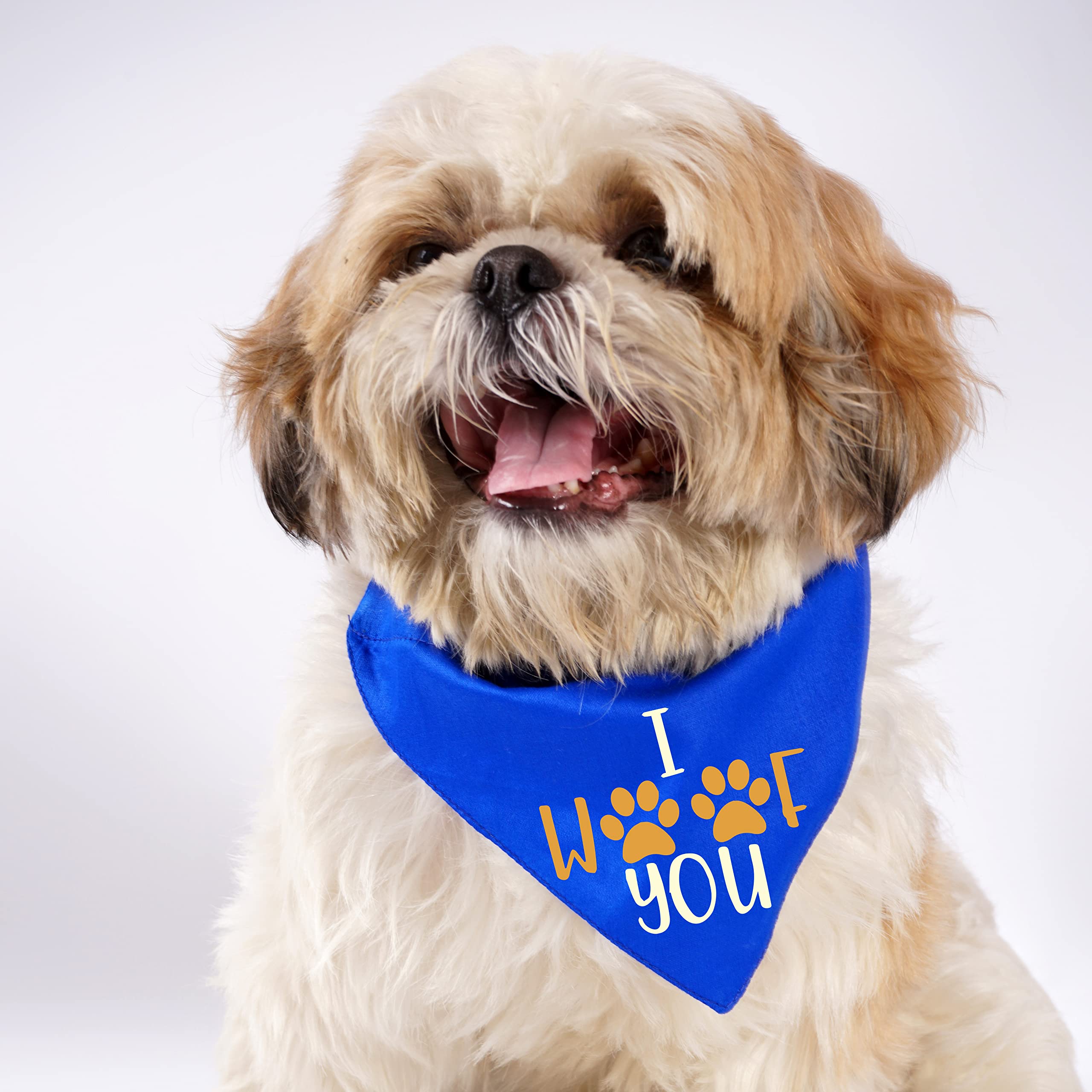 See full amazon price history chart for Limit Fashion Store - I Woof You Printed Dog Bandana/Dog Scarf (Pack of 1) (Royal Blue) Limit Fashion Store - I Woof You Printed Dog Bandana/Dog Scarf (Pack of 1) (Royal Blue) (B0BK1HTQPZ) Amazon Price History, Amazon Price Tracker