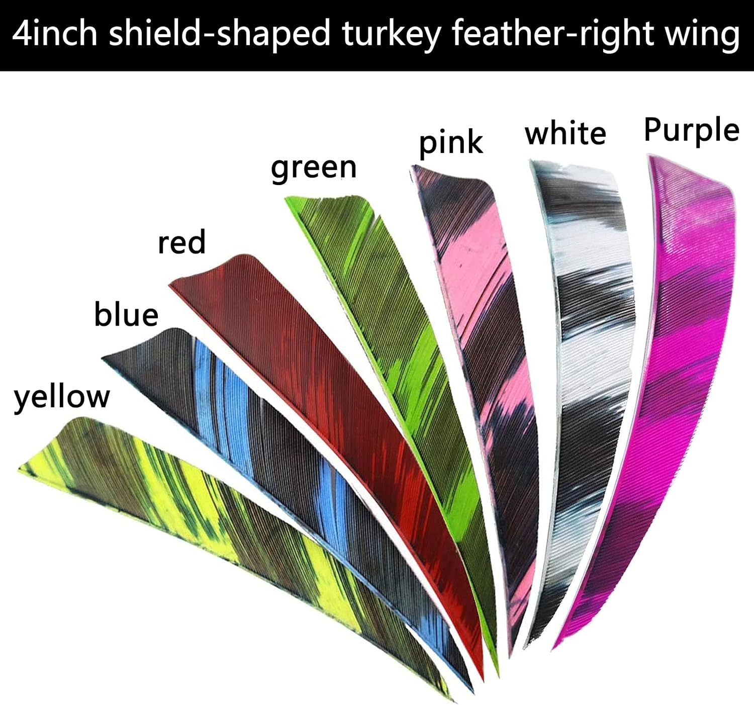 AMEYXGS 4 Inch Arrow Feather Fletching Turkey Feather Natural Arrow Vanes Shield Right Wings Vanes for DIY Arrows Accessories 50Pcs