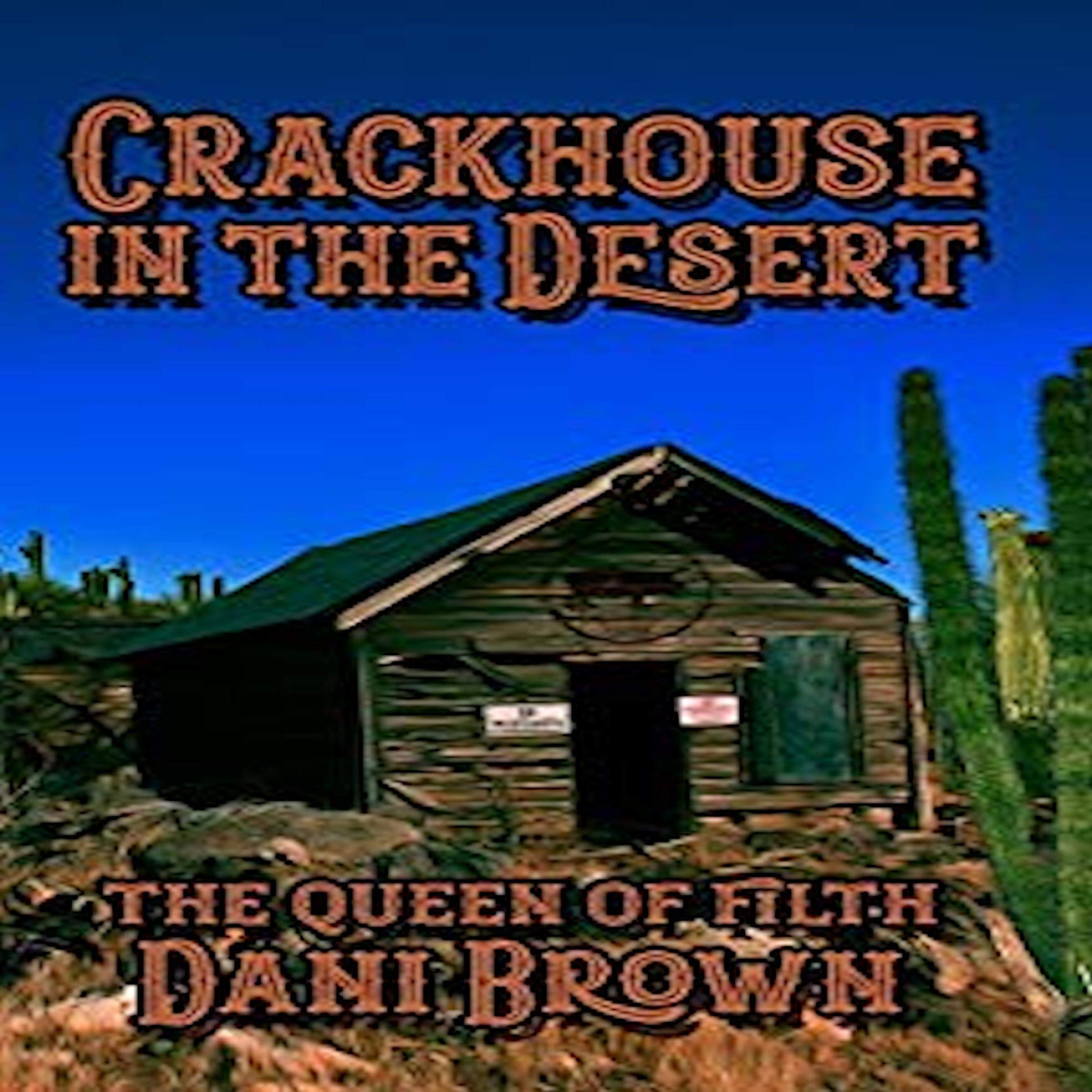 Cover art for The Crack House in the Desert