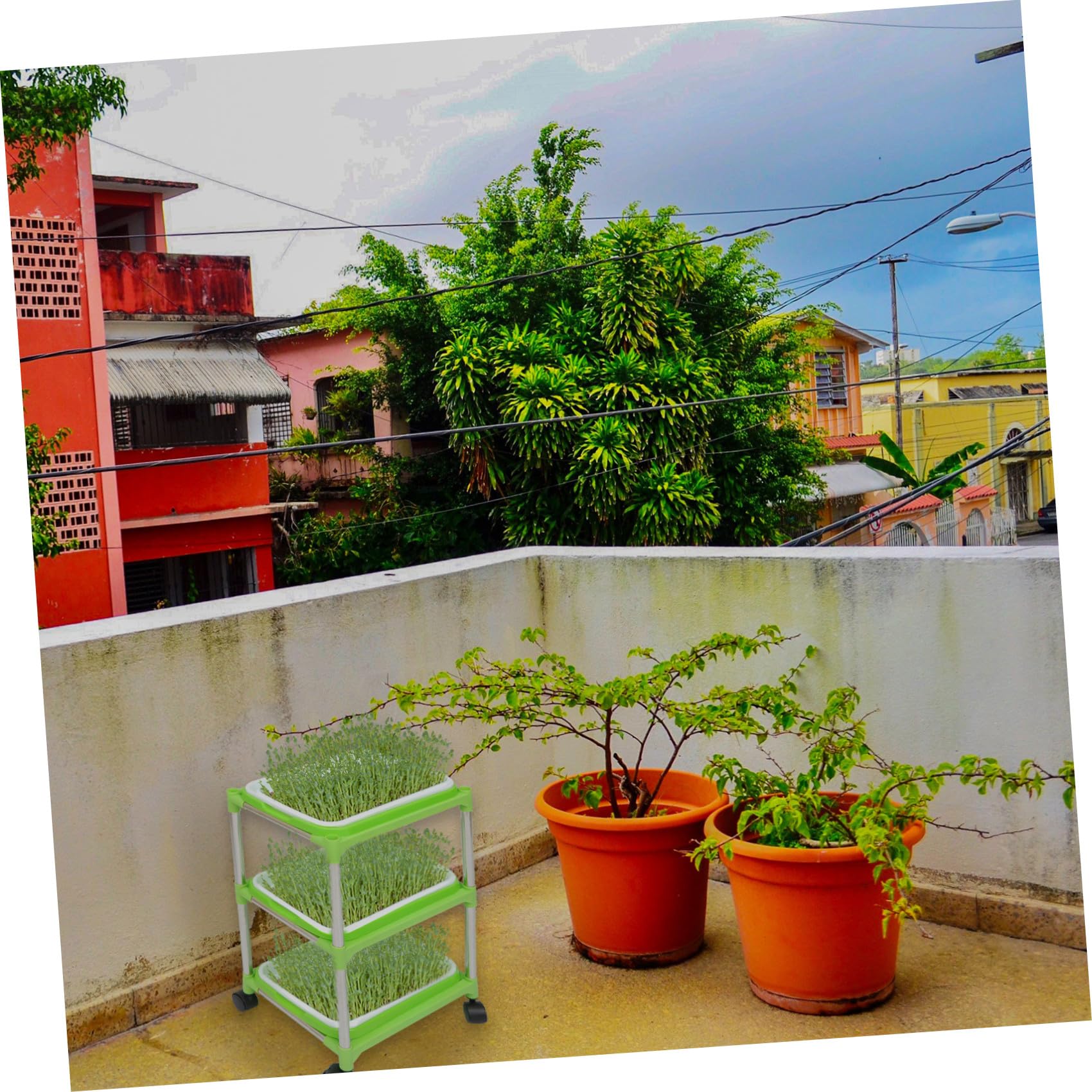 BESPORTBLE 1 Juego Bandejas para Germinación con Estante Inoxidable Kit de de para de Frijoles