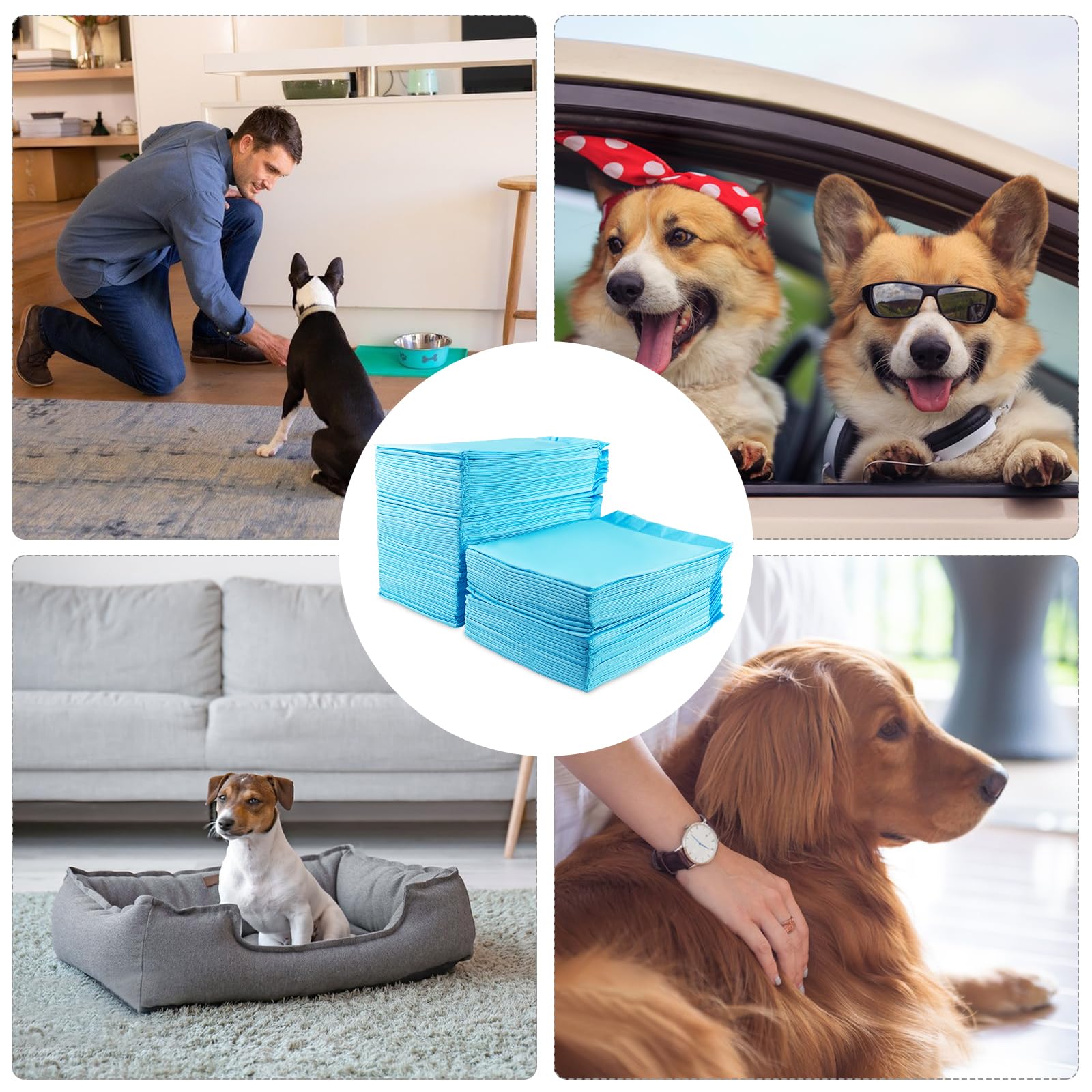 Tekenewbse 100 Stück Pipi Matten für Hunde, 33 × 45 cm Trainingspads, Wickelunterlagen Einweg Einmalunterlagen, Pinkelmatte Training Auslaufsicheres 5-Lagiges Design mit Schnell Trocknender Oberfläche