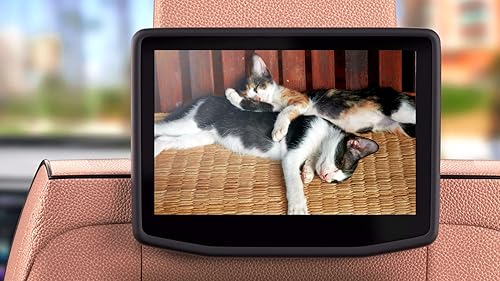 Relaxing Lullaby for Cat and Kitten On Fire TV | NO ADS