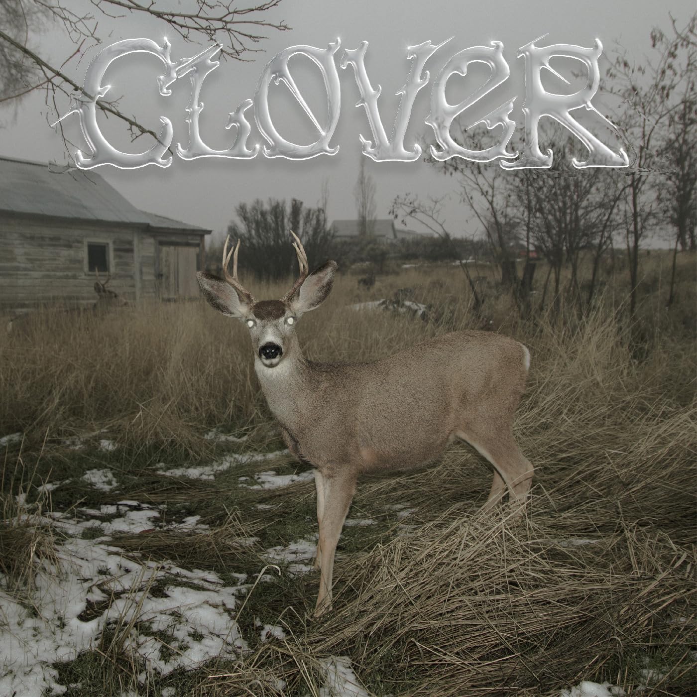 Clover (White Cassette) [CASSETTE]