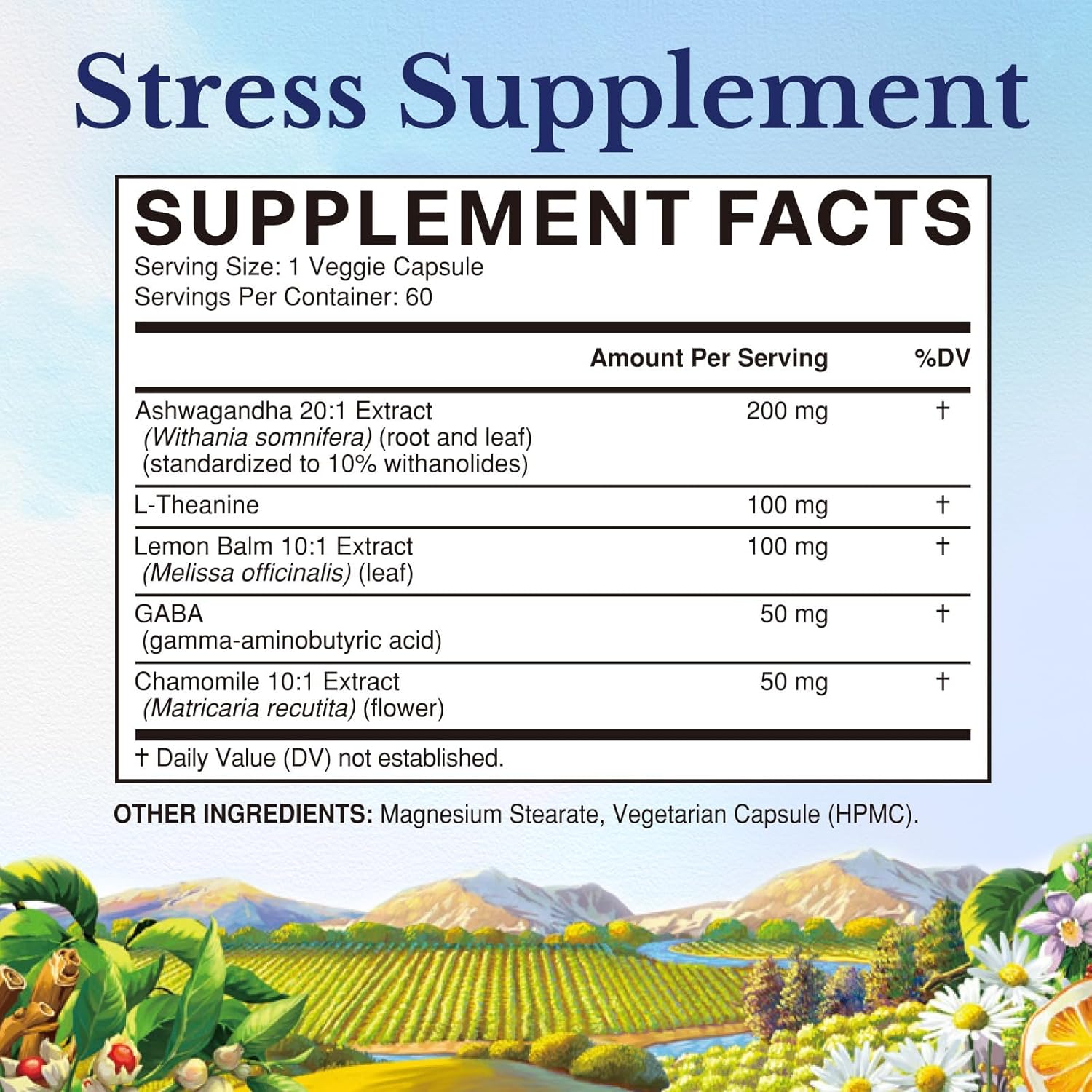 Vitalitown Stress Support Supplement, Calming Blend of Ashwagandha, GABA, L-Theanine, Lemon Balm, Natural Cortisol Response, Ease Stress & Tension, Promote Relaxation & Mental Focus, 60 Vegan Caps - Image 2