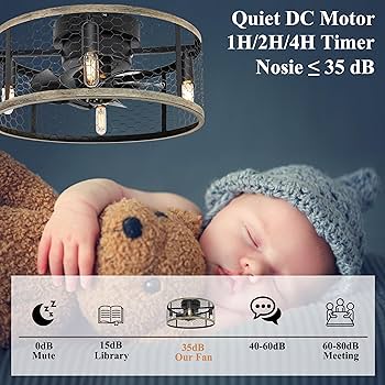 Amazon.com: Ohniyou Caged Ceiling Fan with Light - 18