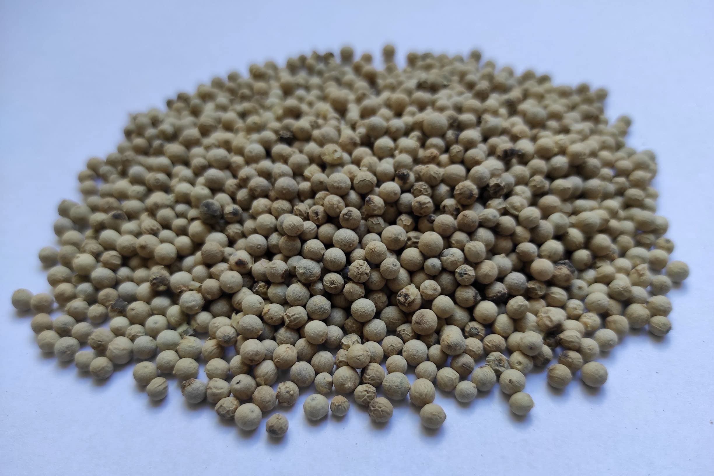 Grains de Poivre Blanc Entiers 85 - 950 grammes Qualité Supérieure (950 grammes)