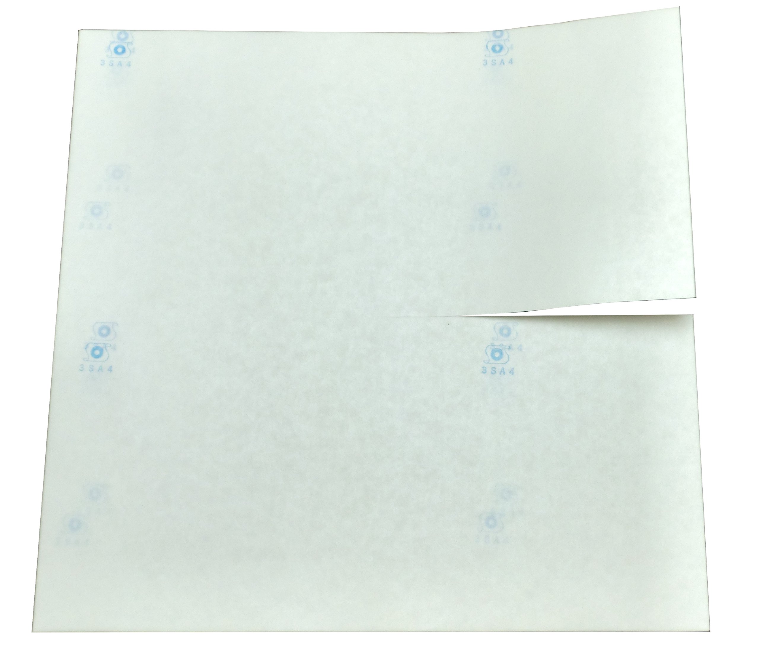 Amazon.co.jp: ぶどう専用 ロー引き 傘 240×240 白 雨除け 日焼け対策