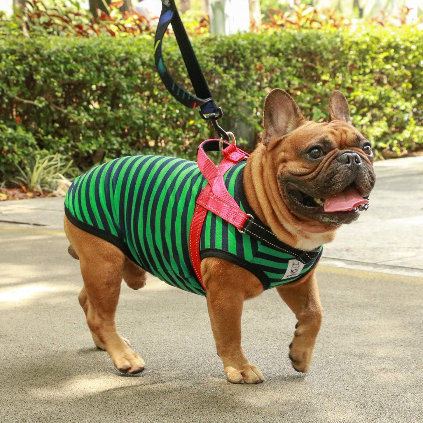iChoue French Bulldog Harness and Leash Set Adjustable Padded Locked Buckle with Handle for Frenchie Pug English Boston Terrier Dogs, Red, Small
