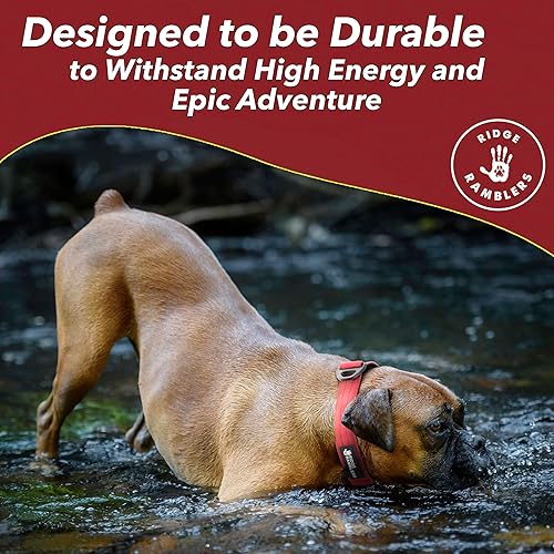 Miniatura 2 de Collares de perro resistentes de alta calidad, diseñados y construidos para ser lo suficientemente duraderos para la energía y la aventura de tu