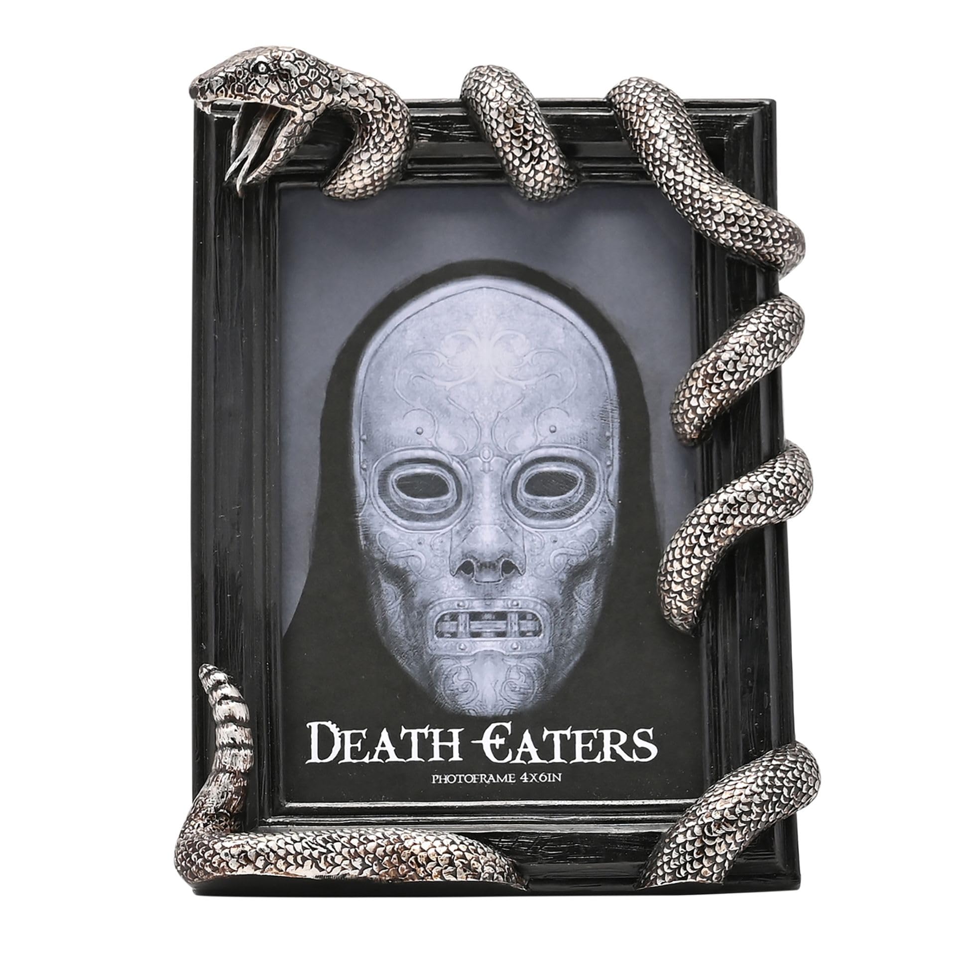 Widdop and Co Harry Potter Dark Arts Frame - Nagini