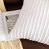 Vista 4 de UGASA - Juego de 2 fundas de almohada de terciopelo a rayas, funda decorativa para cojín con cremallera oculta para el hogar, sofá, dormitorio