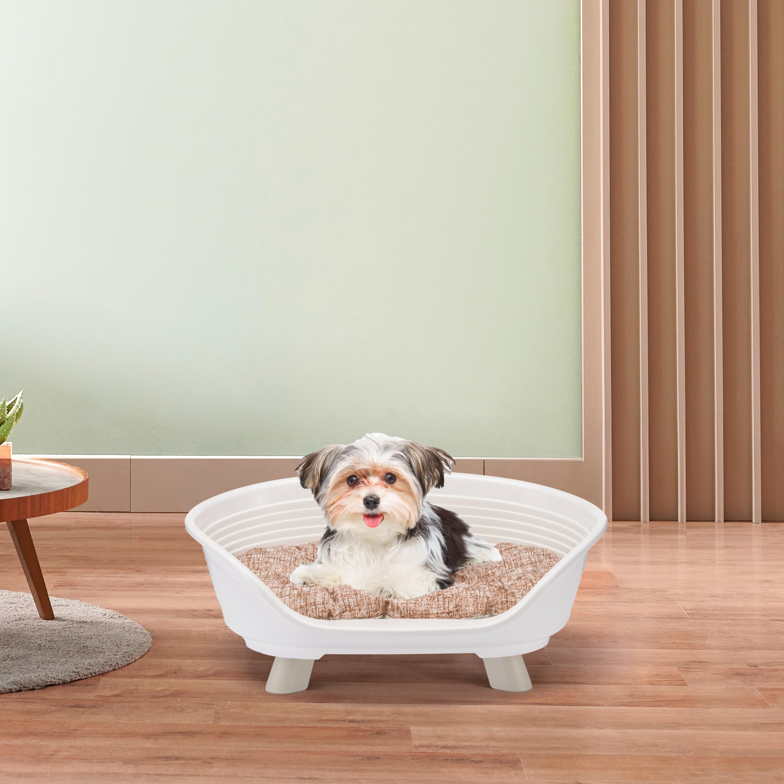 Ferplast Hundebett & Katzenbett mit Baumwollkissen, erhöhtes Hundebett Klein, Recycelter Kunststoff, Hundebett waschbar, Hundekorb, atmungsaktiv & rutschfest, Throne 61,5 x 45 x h 26 cm, Weiß