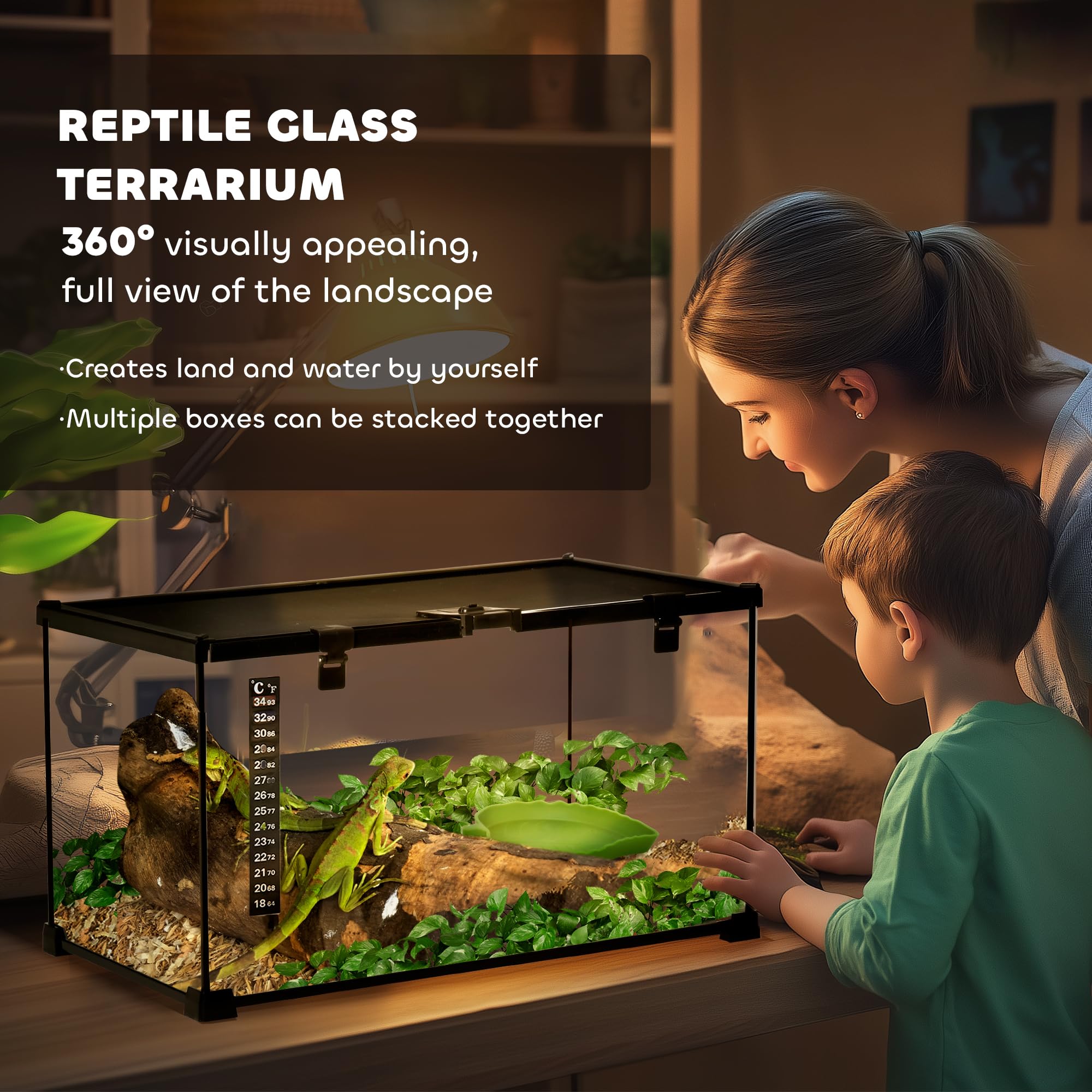 PawHut Terrario para Reptiles de Vidrio Templado 50x30x25 cm Negro | con Termómetro, Cuenco de Agua, Vista Completa, Ventilación, Terrario para Lagartos Ranas Cornudas Serpientes Arañas
