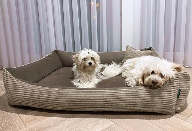 Foto 6 de 8 de 4L Textil Otto Acogedora Cama para Perro Funda Desenfundable y Lavable Cesta para Perro Cojín para Perro…