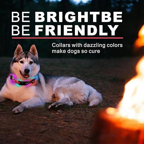 Miniatura 9 de Collares de perro con luz LED, collar de perro con luz LED, collar de perro brillante recargable por USB con impermeable, collar de seguridad