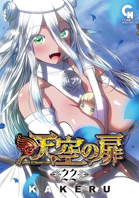 天空の扉 22の表紙イラスト