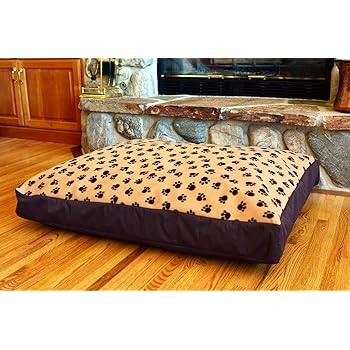 orange spotted filefish care