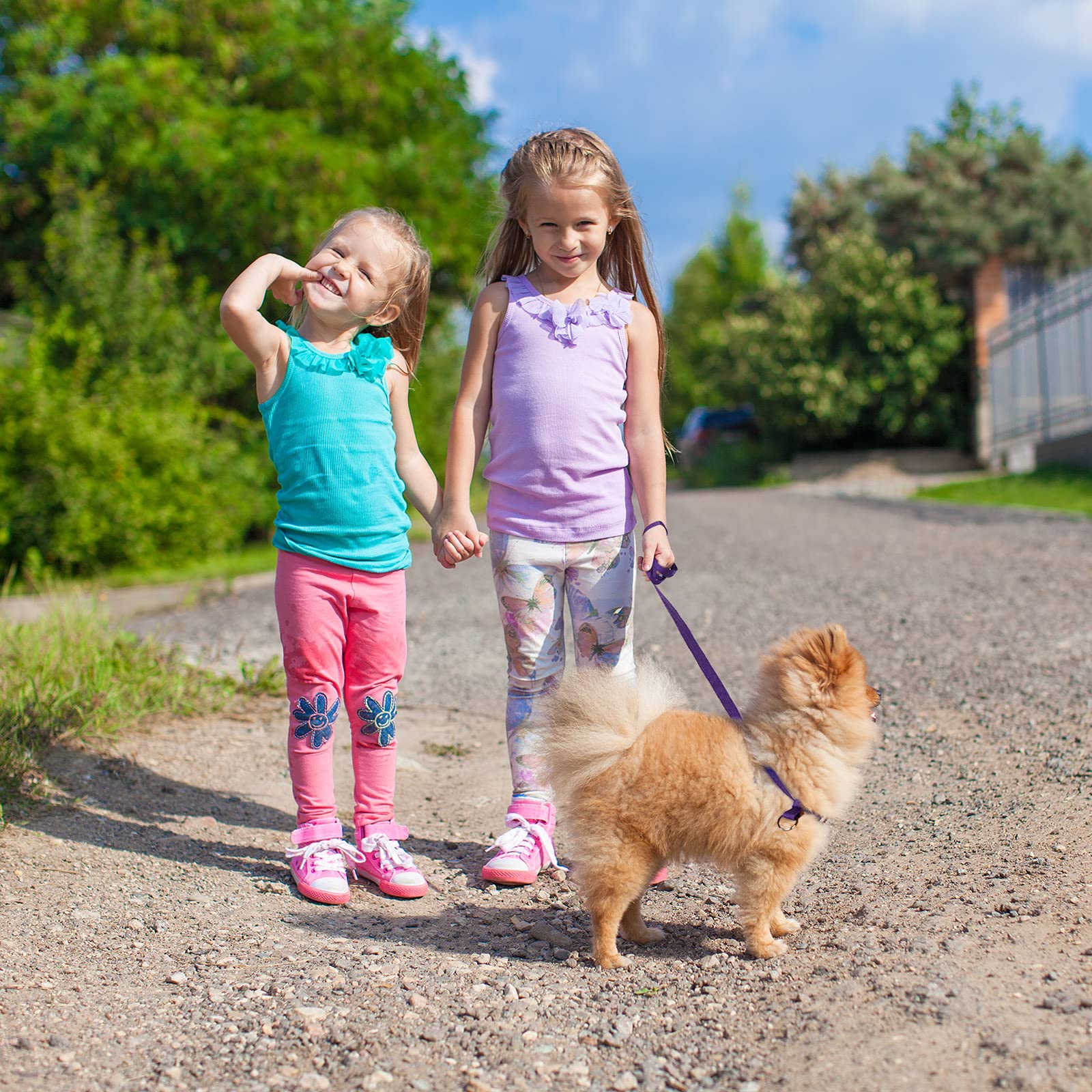 Slip Lead MayPaw Control Leash For Dogs No Pull, 13+ Colors Classic Dog Lead 7 FT Pet Slip Leash, 1/4" Rope Leashes For Small Medium Animals (7ft* 1/4", Rose Red Dog Training Leash