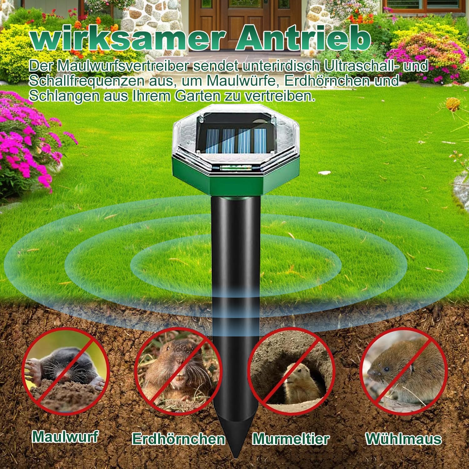 Dissuasore per talpe, a energia solare, a ultrasuoni, per topi, arvicole, serpenti, scoiattoli, IP65, impermeabile, per giardino, 4 pezzi