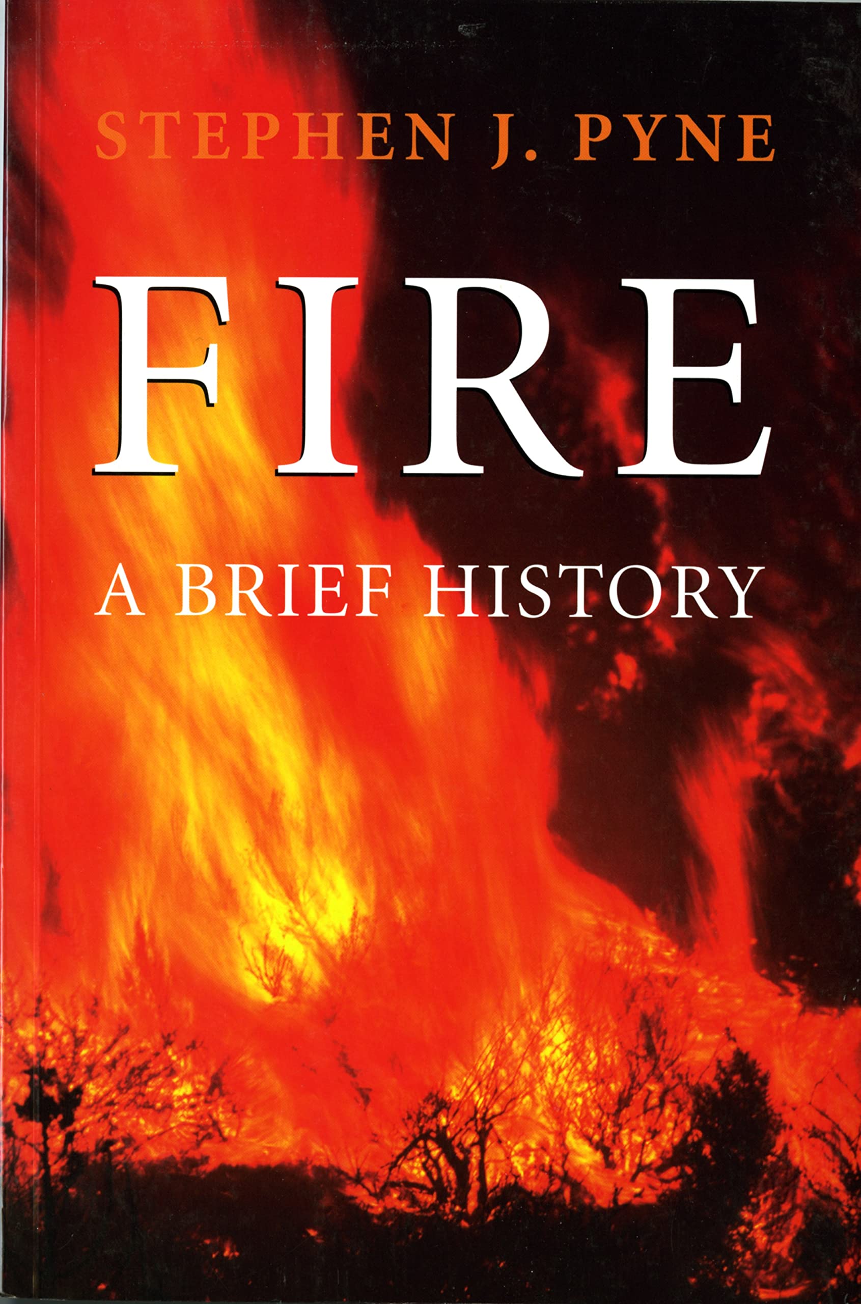 Fire: A Brief History (Weyerhaeuser Environmental Books)