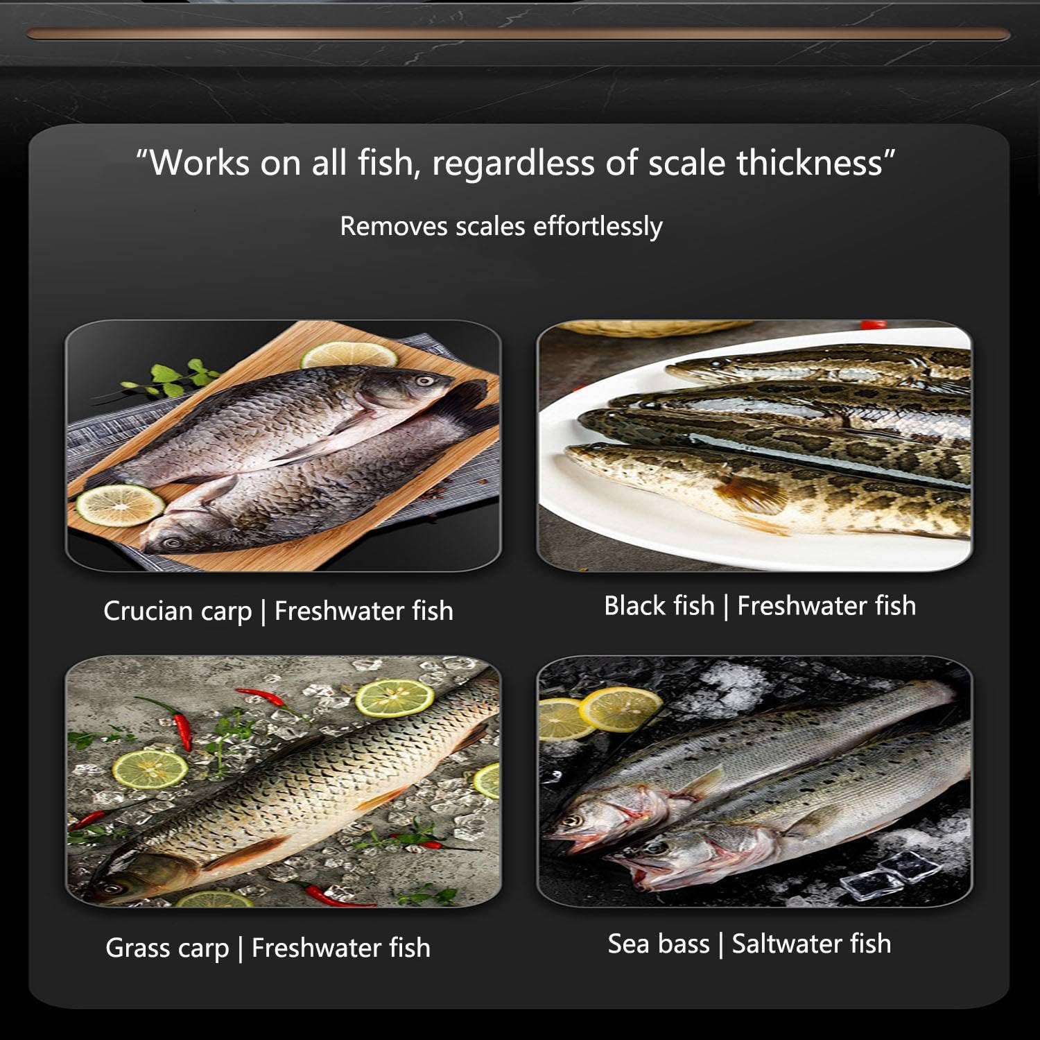 Waterproof Electric Fish Descending Device Fish Scaler IPX7 Fish Scale Remover Waterproof Oyster Knife for Fish Cleaning Tools Knife Easy Seafood Tools White,One Size