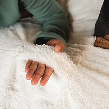 ぬいぐるみ Botanize Pachypatchy Large size K11 Musea BOTANIZE PACHYPATCHY pachypodium release | Hypebeast