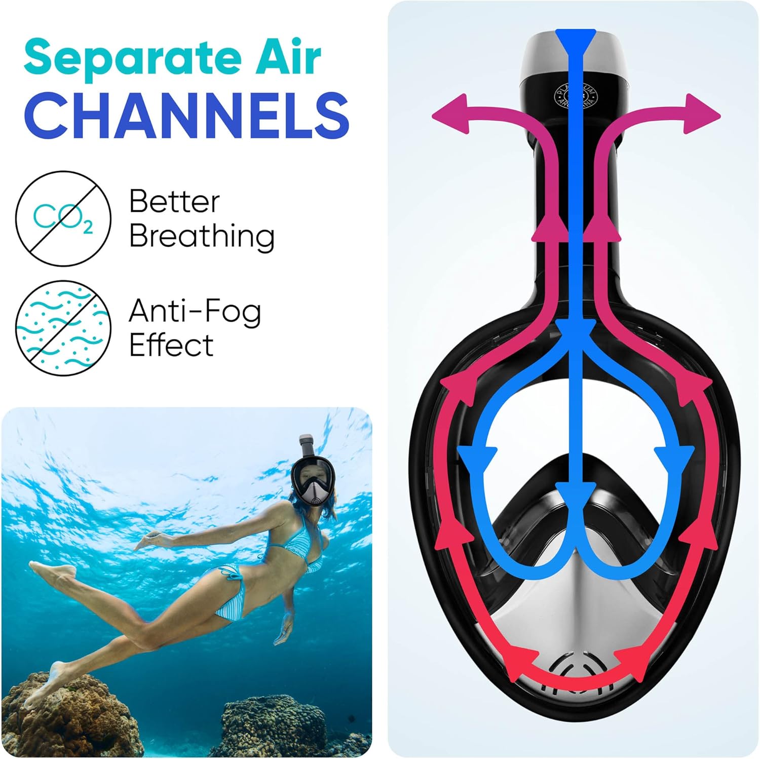 Platinum Arowana Full Face Snorkel Mask - Snorkeling Gear for Adults and Kids, 180° Panoramic View Scuba mask, Anti-Fog Anti-Leak Dry Top Set Diving Mask w/ Detachable Camera Mount & Adjustable Straps : Sports & Outdoors