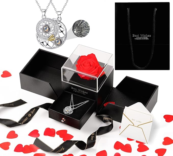 Amazon 磁気カップル投影ネックレス 月と太陽 100の言語で 愛してる ネックレス ペアネックレス 人気 磁性 ジュエリー ギフトボックス付き 最高の告白 記念日 誕生日クリスマス バレンタインデー ホワイトデー クリスマス プレゼント シルバー ネックレス 通販