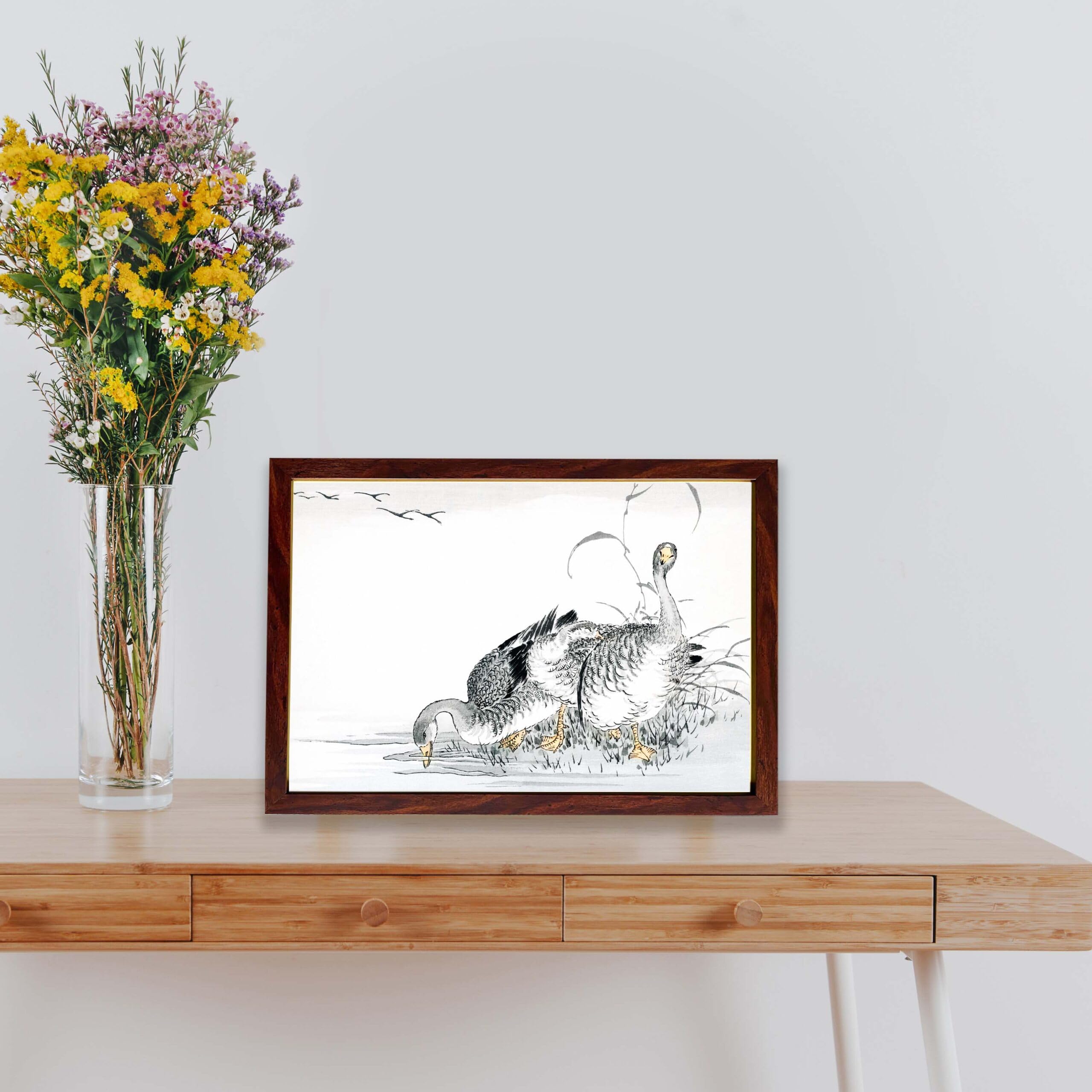 INFIDU White Fronted Goose illustration Vintage Art