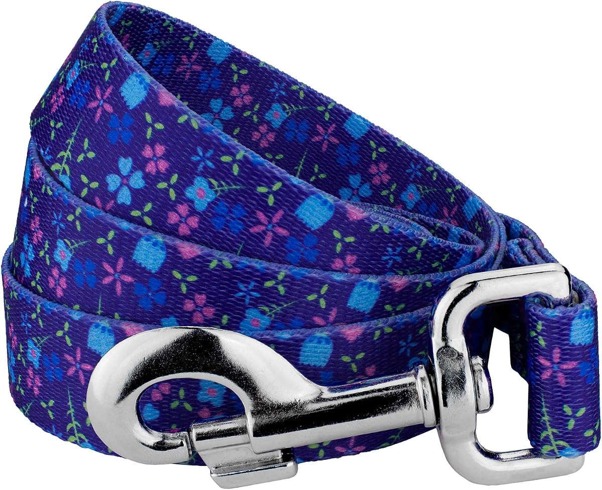 Country Brook Petz - Blueberry Fields Everyday Dog Leash - Floral Collection Featuring Charming Designs (6 Foot, 5/8 Inch Wide)