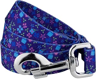 Country Brook Petz - Blueberry Fields Dog Leash - Floral Collection with 8 Charming Designs (6 Foot, 1 Inch Wide)